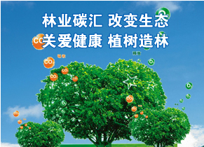 仟億達831999：開(kāi)展區域性碳交易合作的必要性
