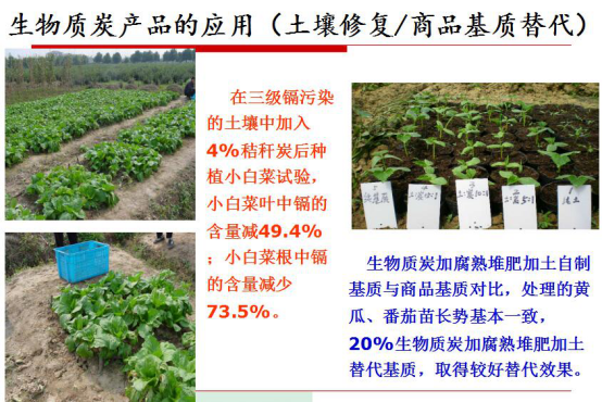 仟億達生物氣化發(fā)電的明顯社會(huì )效益