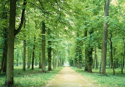 仟億達碳交易，讓林農愛(ài)上植樹(shù)“賣(mài)空氣”